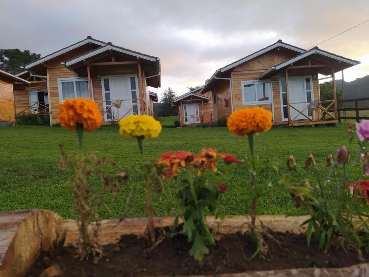 Pousada Flor Do Campestre Urubici Ngoại thất bức ảnh